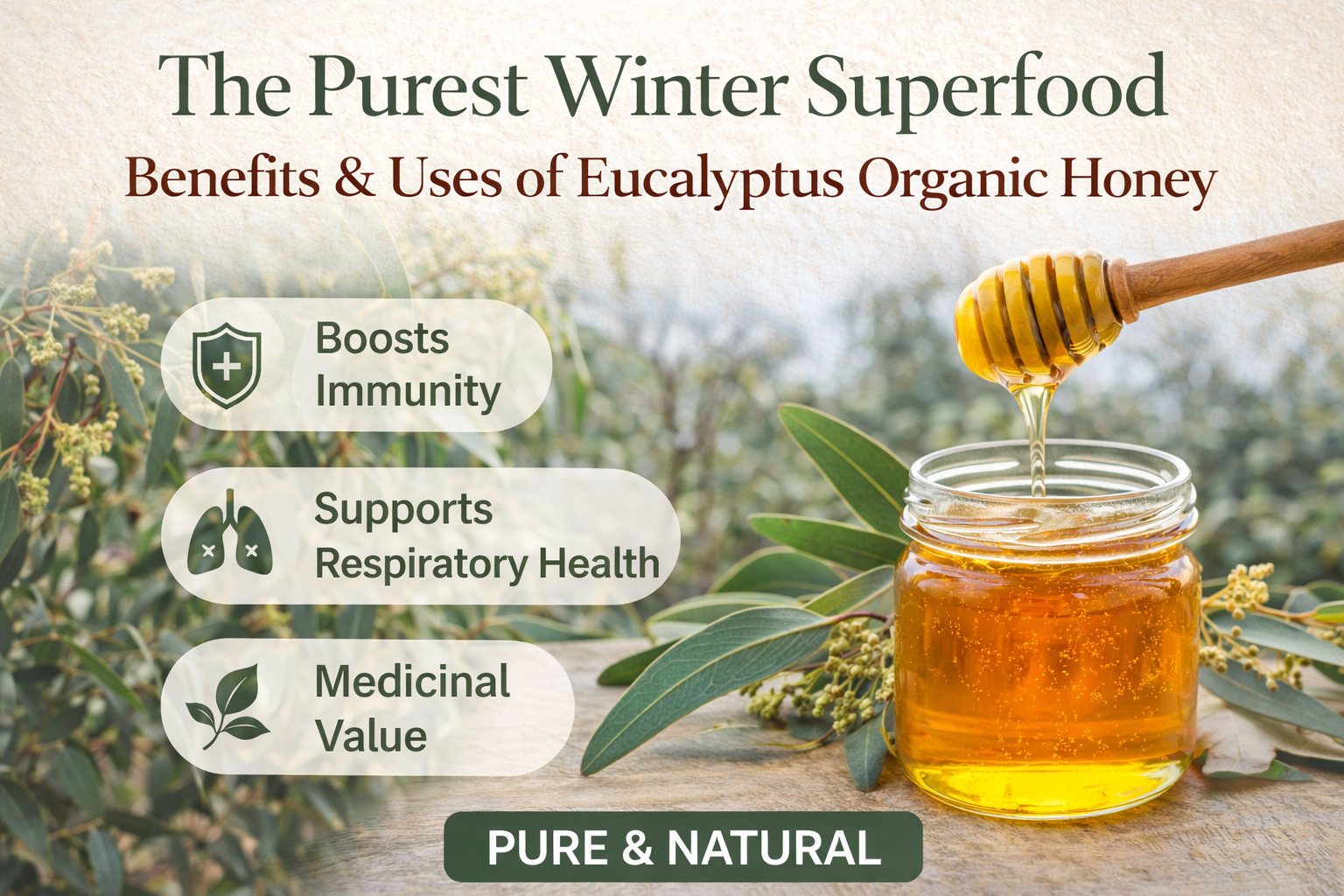 The Purest Winter Superfood: Benefits, Uses & Science Behind Eucalyptus Organic Honey