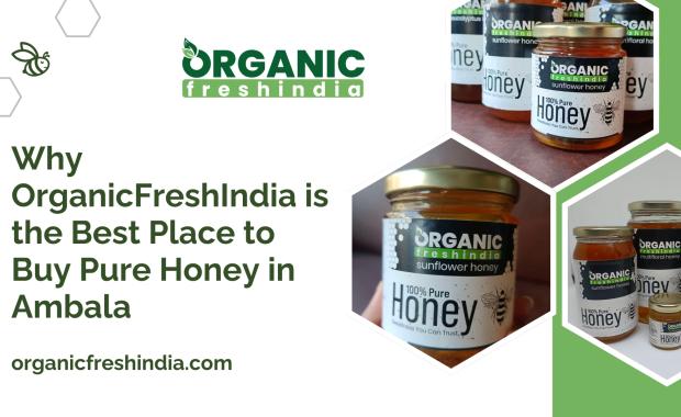 Why OrganicFreshIndia is the Best Place to Buy Pure Honey in Ambala